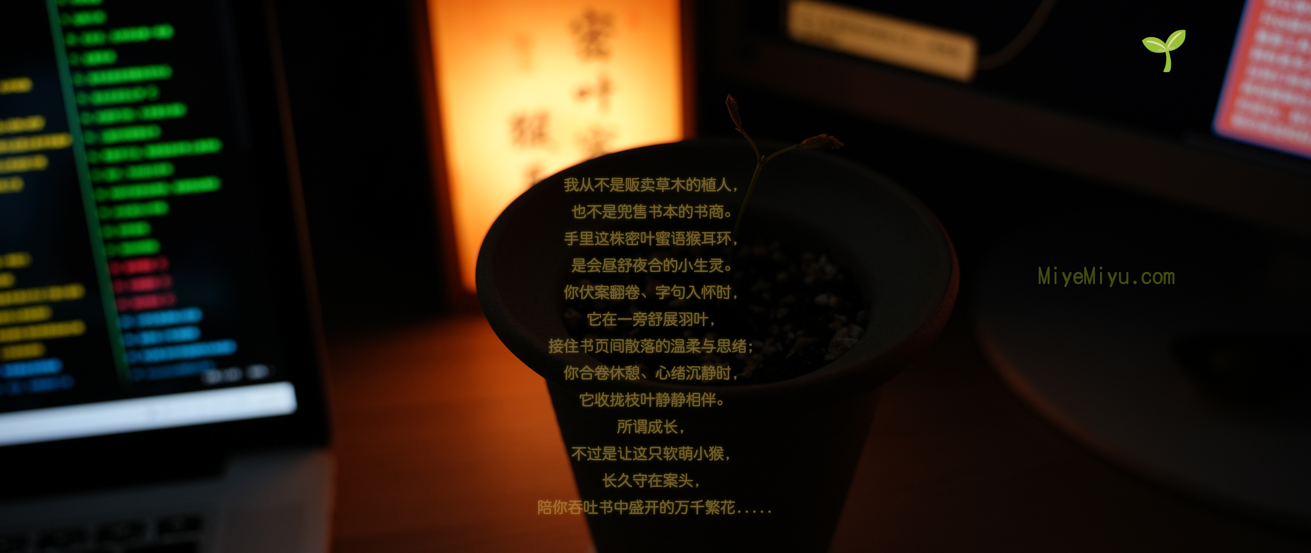 密叶蜜语3